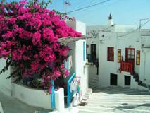 Milos3
